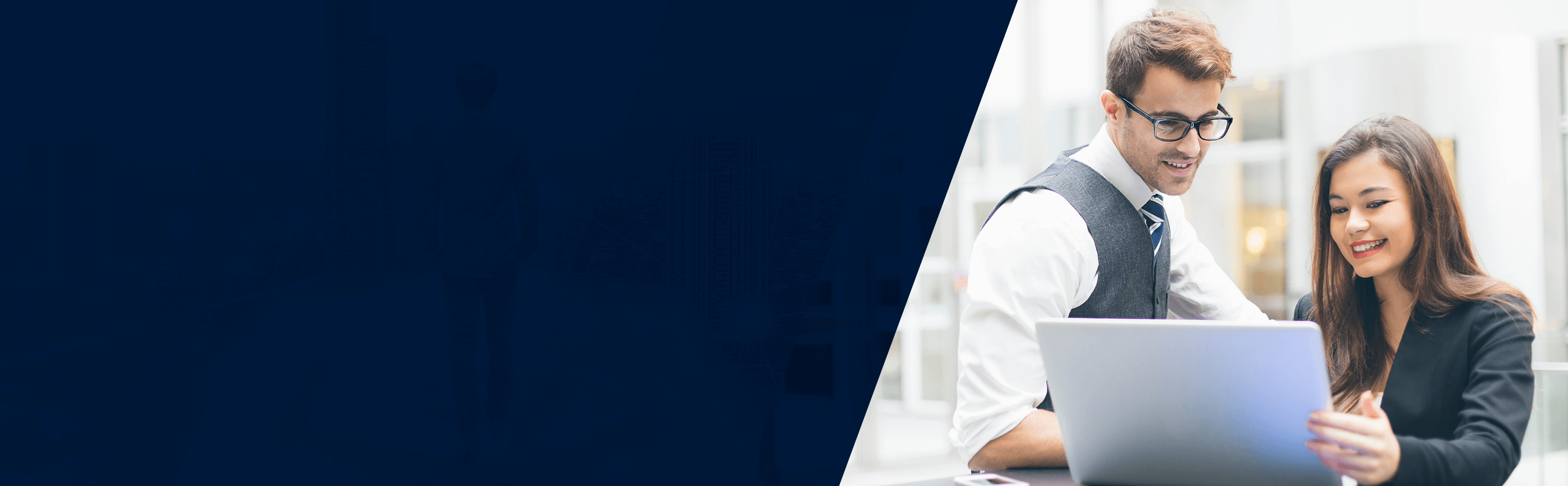 Product Overview Banner